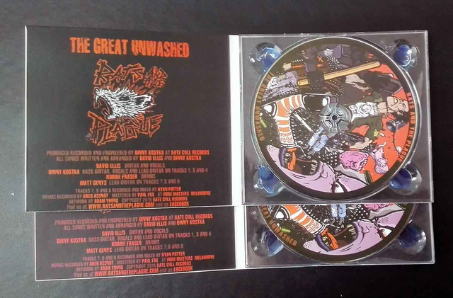 4panel cd digitray cd replication china vinyl records pressing books printing usb flash drive blu ray dvd replication cd case