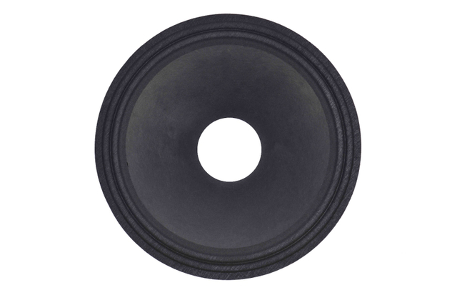speaker cone
